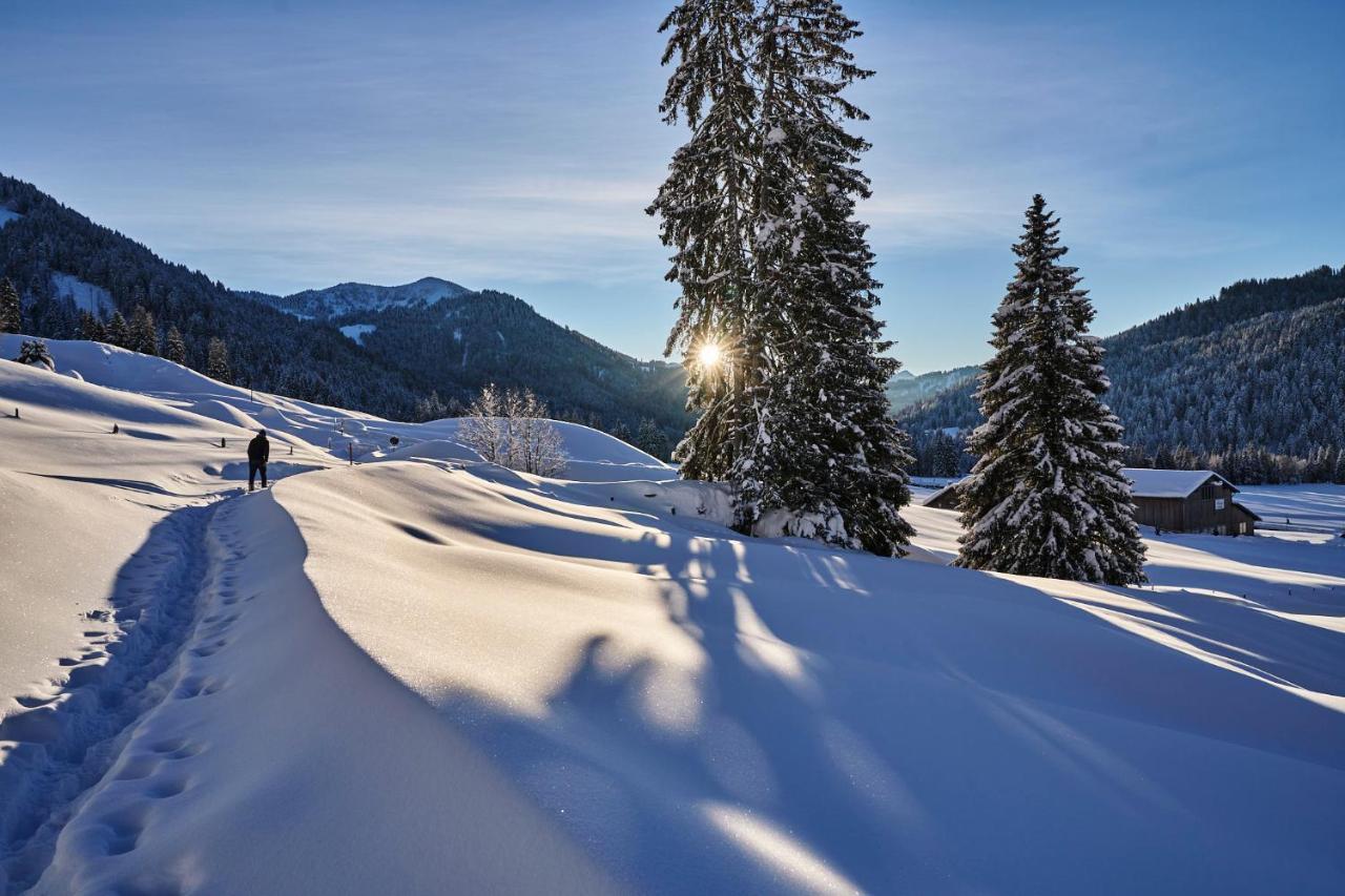 Hubertus Mountain Refugio Allgaeu บัลเดอร์ชวัง ภายนอก รูปภาพ