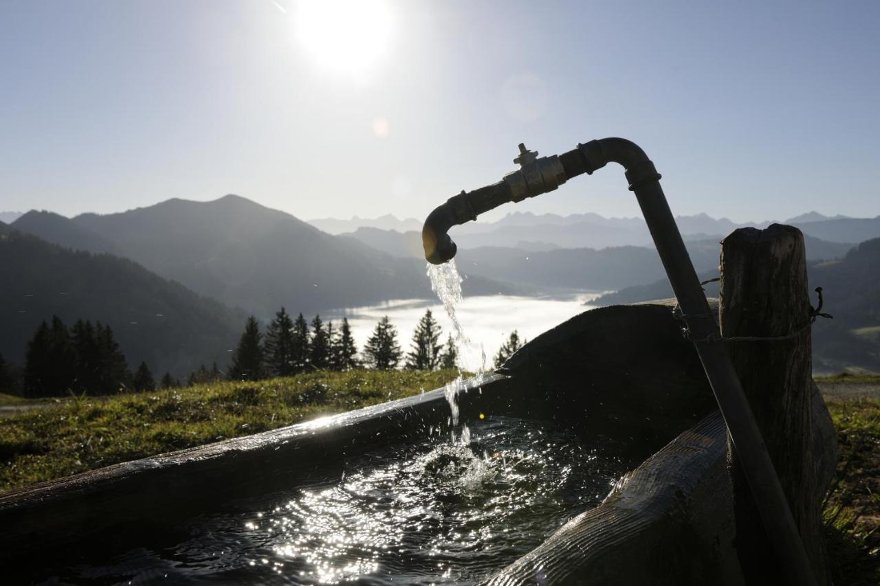 Hubertus Mountain Refugio Allgaeu บัลเดอร์ชวัง ภายนอก รูปภาพ